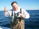 Huge Oak Island Black Sea Bass